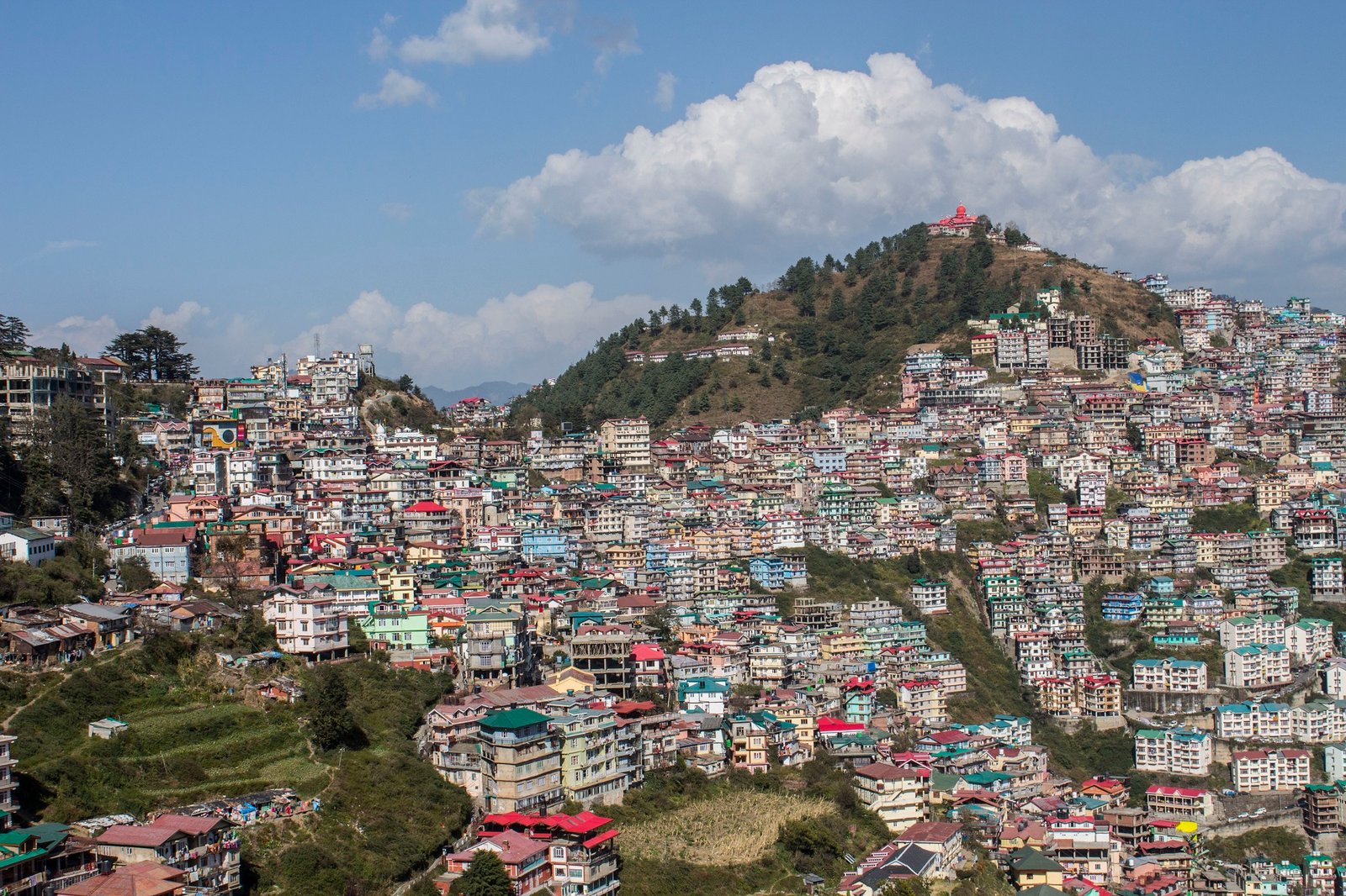 Shimla
